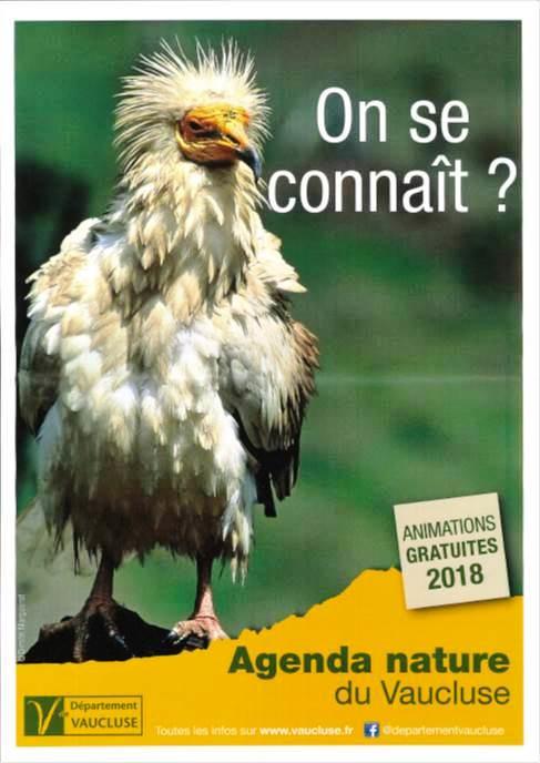 Sortie Nature au Beaucet