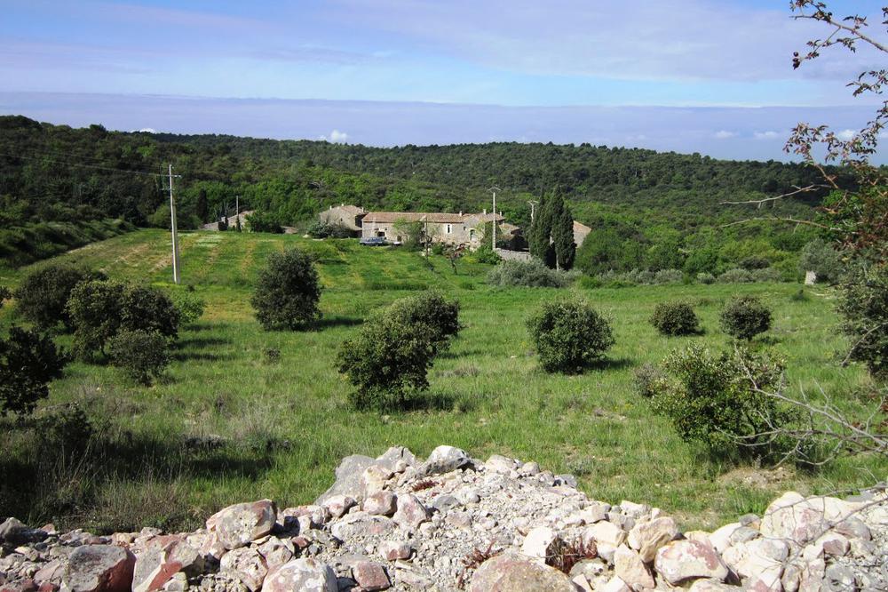 Barbarenque