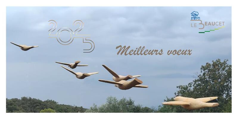 Bonne année 2025