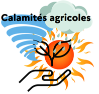 Calamités agricoles pour perte de récolte