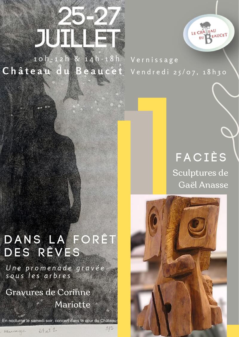 Les Expos du Château
